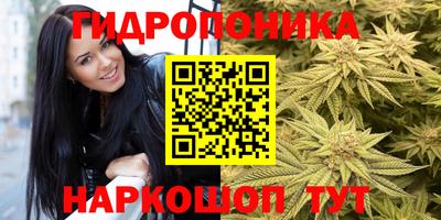 шишки Славянск-на-Кубани
