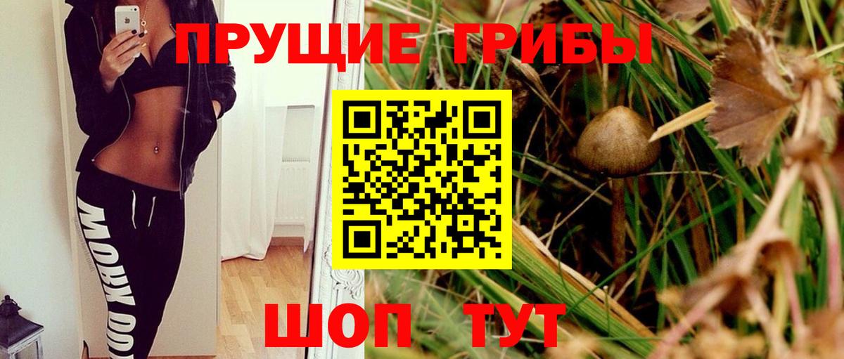 Псилоцибиновые грибы Magic Shrooms Ульяновск